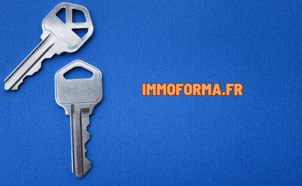 acquisition immobiliere demembrement